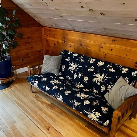 Bright And Cozy Treehouse Apartment برلينغتون المظهر الخارجي الصورة