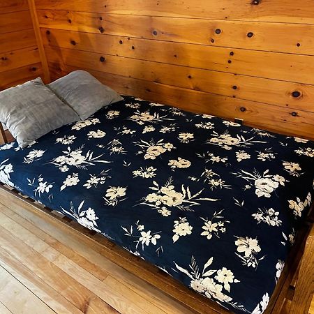 Bright And Cozy Treehouse Apartment برلينغتون المظهر الخارجي الصورة